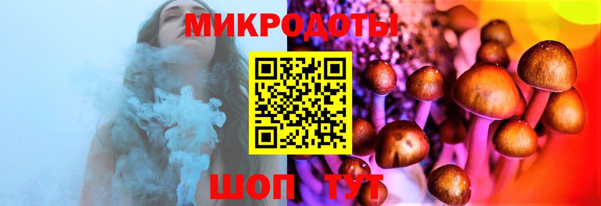 Псилоцибиновые грибы Psilocybine cubensis  Вход с VPN  Тара  Псилоцибиновые грибы GOLDEN TEACHER 